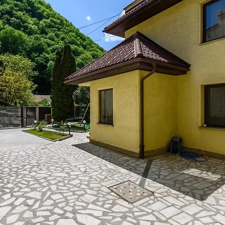Cedrus Boutique 3* Brassó